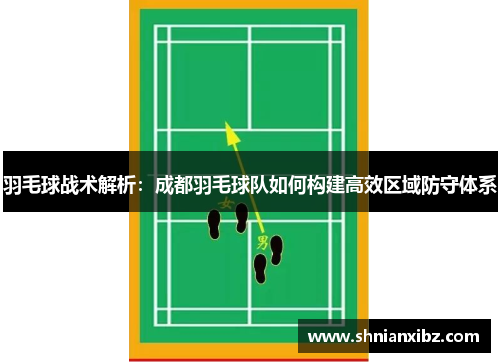羽毛球战术解析：成都羽毛球队如何构建高效区域防守体系