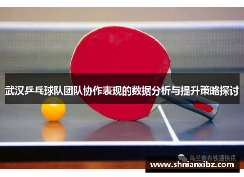 武汉乒乓球队团队协作表现的数据分析与提升策略探讨