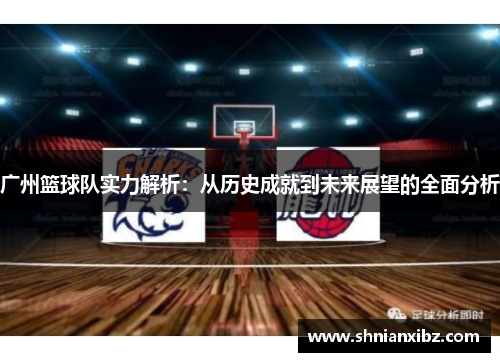 广州篮球队实力解析：从历史成就到未来展望的全面分析