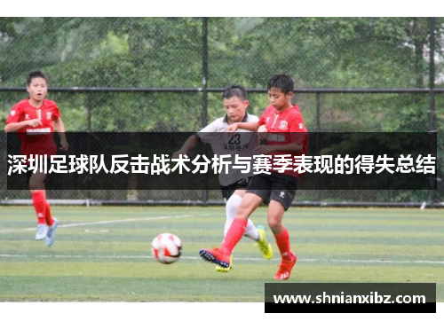 深圳足球队反击战术分析与赛季表现的得失总结
