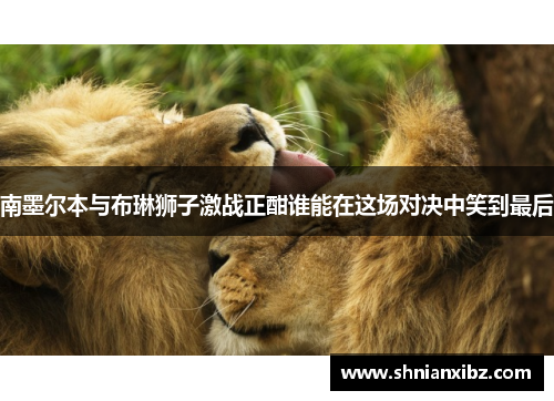 南墨尔本与布琳狮子激战正酣谁能在这场对决中笑到最后