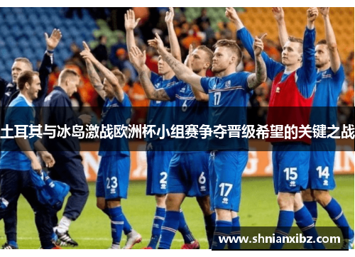 土耳其与冰岛激战欧洲杯小组赛争夺晋级希望的关键之战